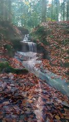 Réflexion sur la conscience