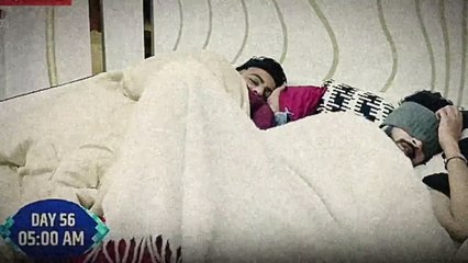 Bigg Boss 19 LIVE - Amaal Ki Condition Hai Serious Shehbaz Ne Sambhla | Episode 59 dailymotion