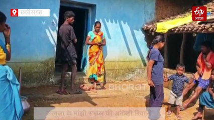 सरगुजा के मांझी समाज की अनोखी दिवाली, गाय और बैलों को हंडिया शराब पिलाने की परंपरा