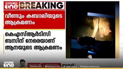 വീണ്ടും ഒറ്റയാൻ കബാലി; തൃശ്ശൂർ അതിരപ്പള്ളിയിൽ ബസിന് നേരെ ആക്രമണം