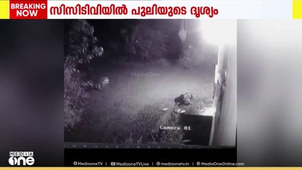 പാലക്കാട് കാഞ്ഞിരപ്പുഴയിൽ വീട്ടുമുറ്റത്ത് പുലി; വളർത്തു നായയെ പിടികൂടി