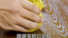 新剧上线#她已身登青云梯 (下)