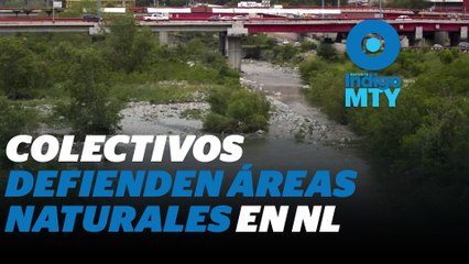 Estos colectivos resisten defendiendo áreas naturales en Nuevo León | Reporte Indigo