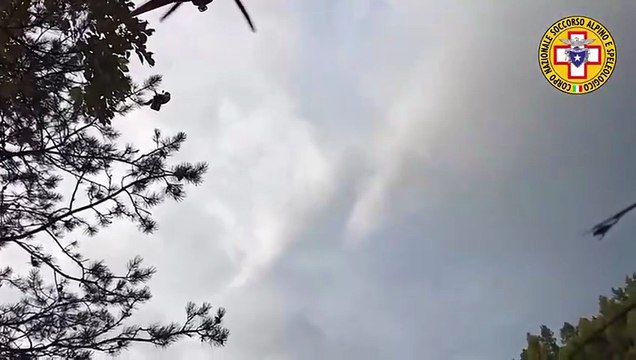 Image from field_mediaid