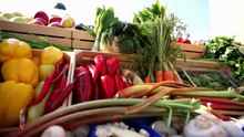 MasterChef Sezonul 10 Episodul 12 online 20 Octombrie 2025