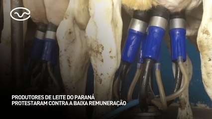 Produtores de leite do Paraná protestam contra a baixa remuneração