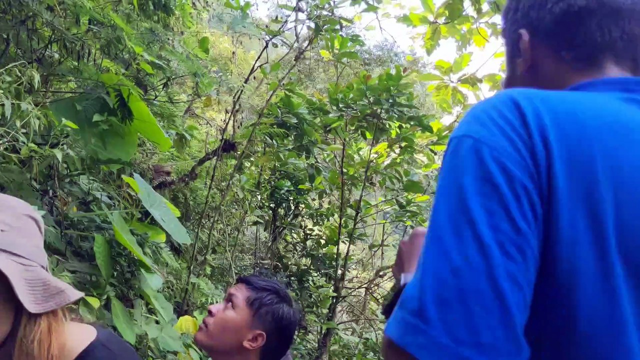 MUAFA MBOLANG