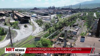 Metalurgias interesadas en AHMSA
