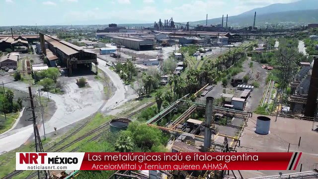 Metalurgias interesadas en AHMSA