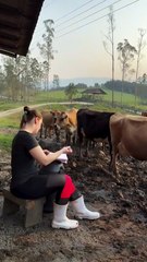 Mais um dia normal aqui na