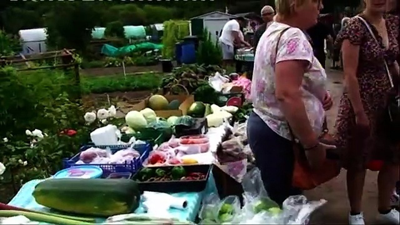 KBV-094 Summer Open day 2022 on Sinfin Moor Allotments