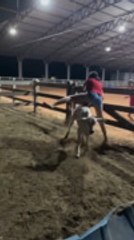 Calf Attacks and Knocks Down Woman