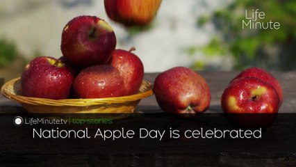 Colman Domingo Cast as the Cowardly Lion in Wicked: For Good, Kennedy Family Drama Series Starring Michael Fassbender Coming to Netflix, National Apple Day is Celebrated