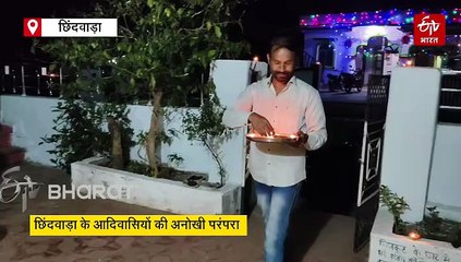 बछड़े को बचाने चरवाहे पर हमला करती है गाय, छिंदवाड़ा में गाय को निमंत्रण देने की अनोखी परंपरा