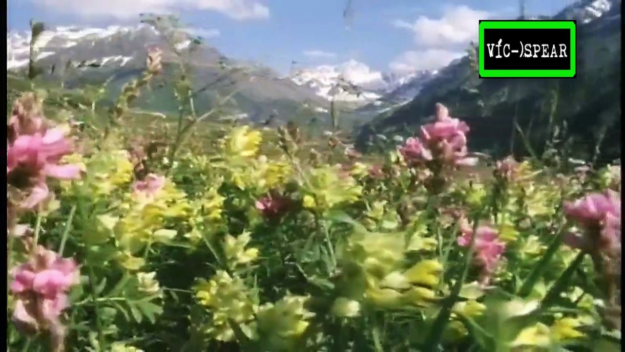 La vida privada de las Plantas: Supervivencia - Documental (1995) Español Latino *Episodio 6