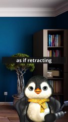 Authentic faith in action 15