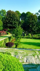 Every view in Kashmir feels like a living postcard — rivers, flowers, and mountains blending into pure magic