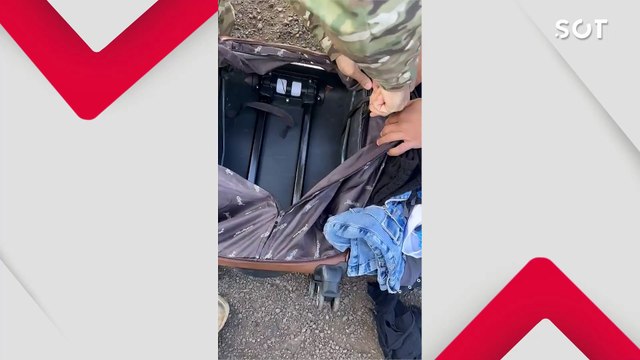 Cão farejador da PF descobre quase 5 quilos de haxixe escondidos em mala de passageira