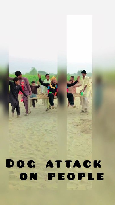 Dog attack on people