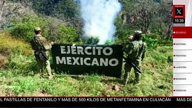 Detienen a 120 personas y aseguran arsenal y drogas en operativos en Sonora