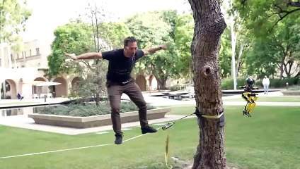 A Robot That Walks, Flies, Skateboards, Slacklines