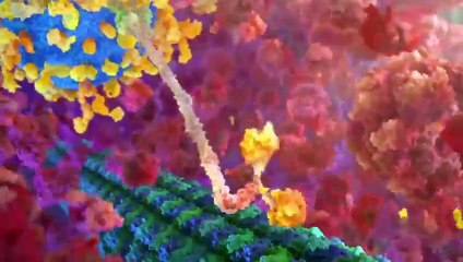 AlphaFold - The Most Useful Thing AI Has Ever Done