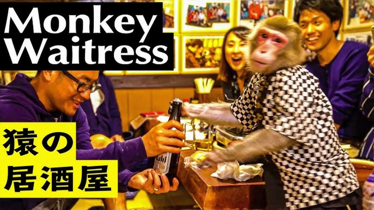 Some Unique restaurants | The Slapping 👋🥲😨😨 restaurants and more