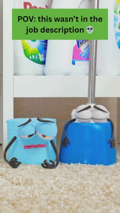 Toilet brush diaries: the job no one asked for 💩😂 #funny #relatable