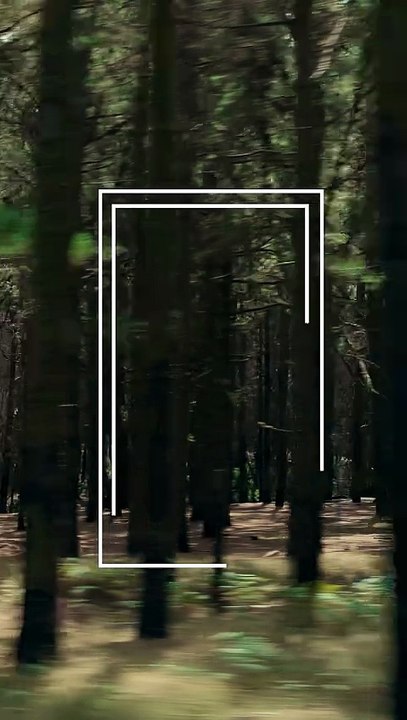 Yamaha Ténéré 700 World Raid 2026 - Updates im Detail #MotorcycleLife #Yamaha2026 #Tuningblog