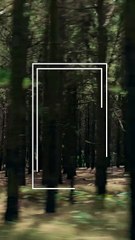 Yamaha Ténéré 700 World Raid 2026 - Updates im Detail #MotorcycleLife #Yamaha2026 #Tuningblog