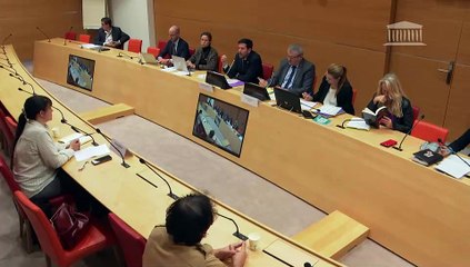 Mouvements politiques et islamisme : Mme Nora Bussigny, journaliste - Mardi 21 octobre 2025