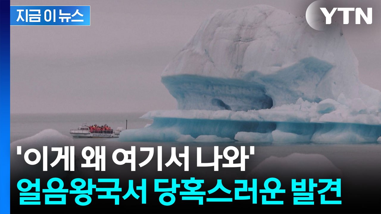 곤충학자 '깜짝'...아이슬란드서 전례 없는 일 발생 [지금이뉴스] / YTN
