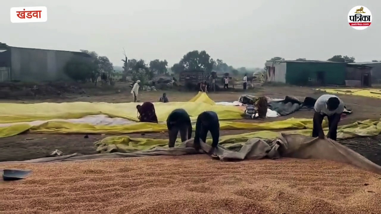 मानसून अलर्ट : बिगड़ा मौसम, बढ़ी किसानों के चेहरे पर चिंता की लकीरें