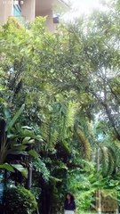 Hooked At First Sight Full - Full Movies English Sub