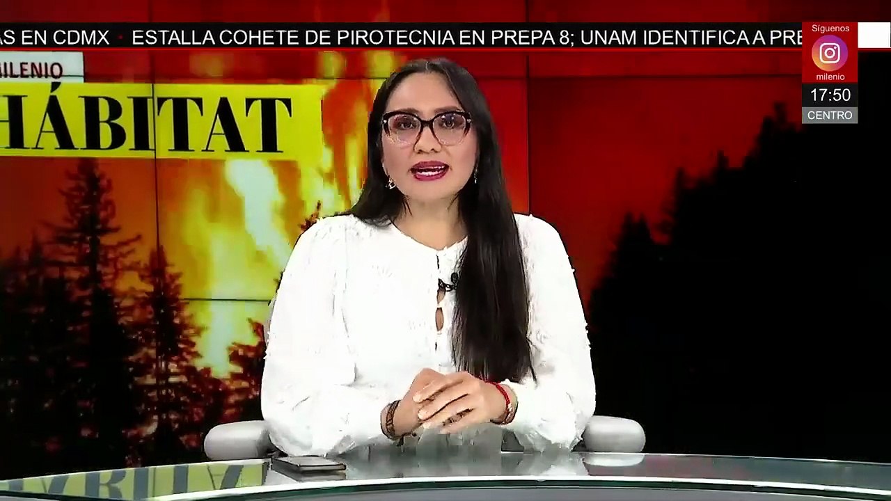 Colectivo denuncia inacción por derrame de hidrocarburos en el Río Tula | Milenio Hábitat