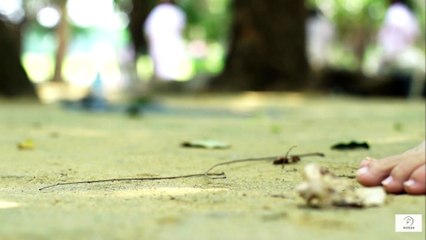 How to Choose the Right Shoes for Senior Runners