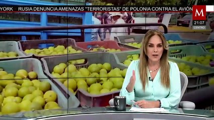 Choque en L7 del Metrobús deja 8 lesionados | Elisa Alanís, 21 de octubre de 2025