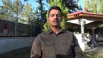 Cami imamı onlarca kediye sahip çıkıyor