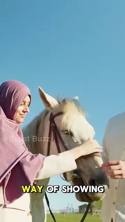 How horses show love and affection