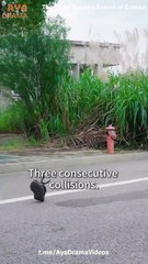 The News Queen's Crown of Crimes Chinese Drama - English Sub