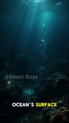 This Shark Glows in Total Darkness — But Why