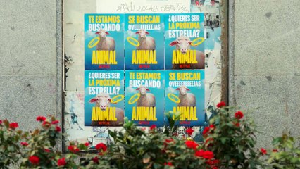 Animal - Anuncio de segunda temporada - Netflix España