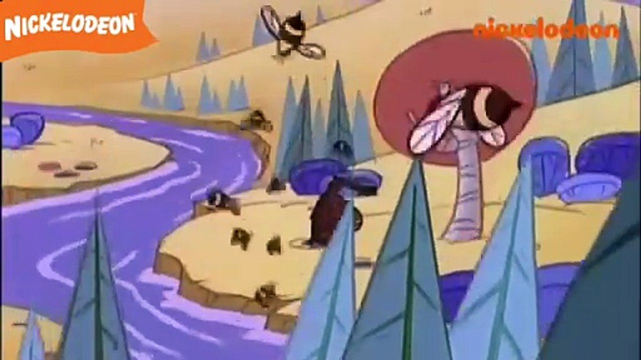 Les Castors Allumés - Je suis un ninja redoutable