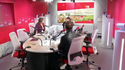 David Hallyday sur France Inter – “Quand on est jeune, on cherche à exister à travers ses parents” (Le 7/10 – 20 novembre 2023)