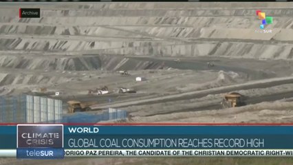 WORLD l Global coal consumption reaches record high
