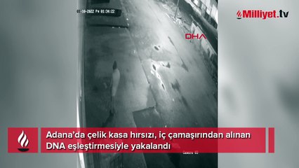 Çelik kasayı çalan hırsız iç çamaşırından tespit edildi! DNA sonucuyla yakayı ele verdi