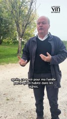 Grand Corbin-Despagne : François Despagne explique l'importance de la biodynamie