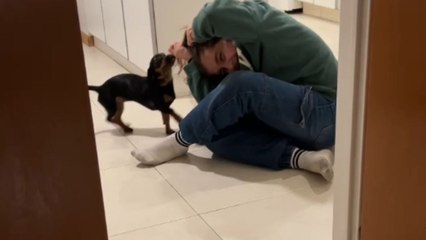 Girl struggles to escape as mischievous dog holds her hair tight