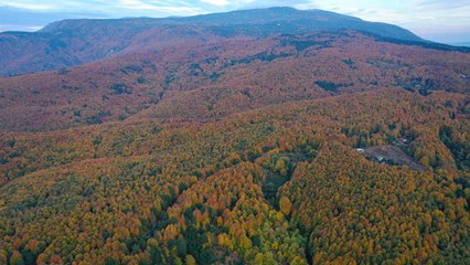 Uludağ'da sonbaharda manzara keyfi! 