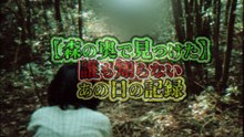 【森の奥で見つけた】誰も知らないあの日の記録